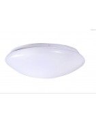 LED Ceiling Light