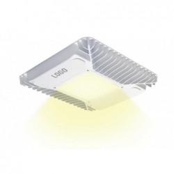 LED Canopy Light